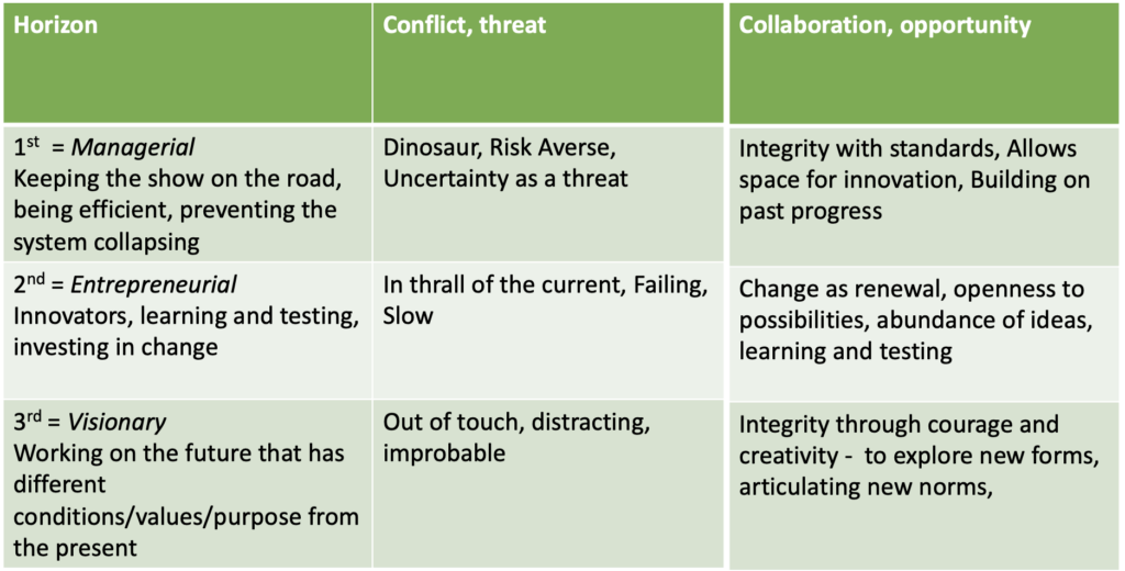 Table explaining roles in Three Horizons